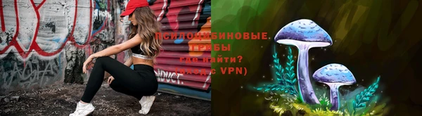 ГАЛЛЮЦИНОГЕННЫЕ ГРИБЫ Лихославль