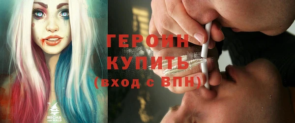индика Горно-Алтайск