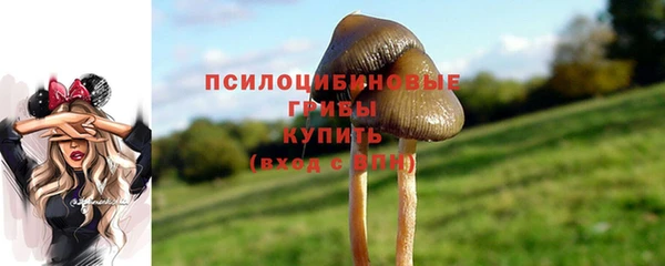 мяу мяу мука Коряжма