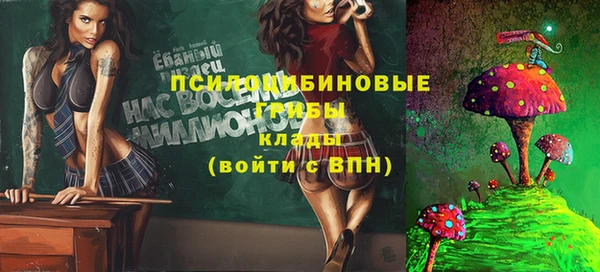героин Вяземский