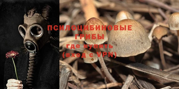 ECSTASY Вязники
