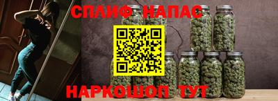 крисы Гусев