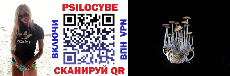Псилоцибиновые грибы GOLDEN TEACHER  магазин  наркотиков  Медногорск 