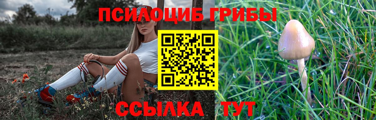 Псилоцибиновые грибы мухоморы  Медногорск  наркошоп  Галлюциногенные грибы мицелий 