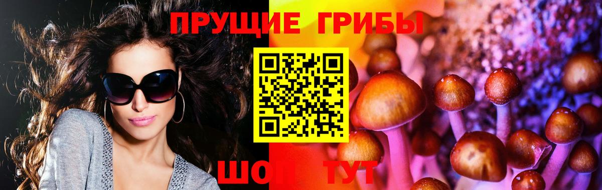 Галлюциногенные грибы MAGIC MUSHROOMS  Вход с VPN  Медногорск 